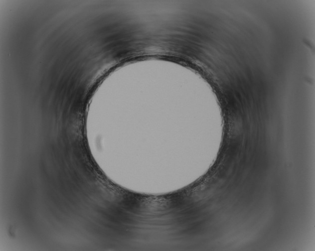X0000091531314200709071031