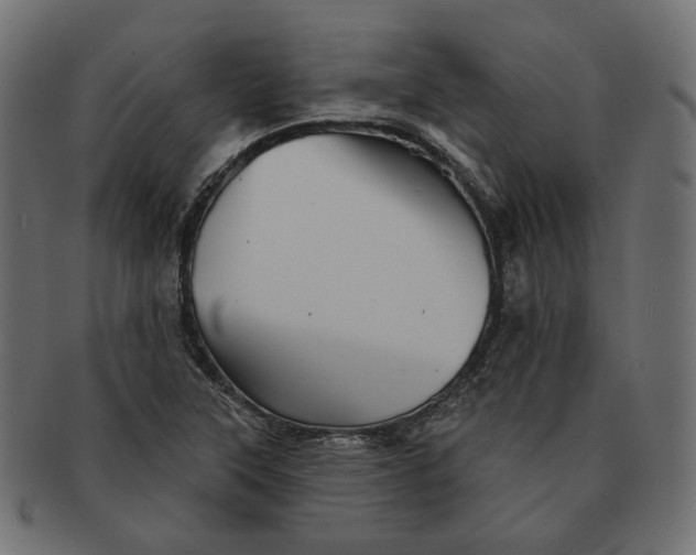 X0000091531315200709071031