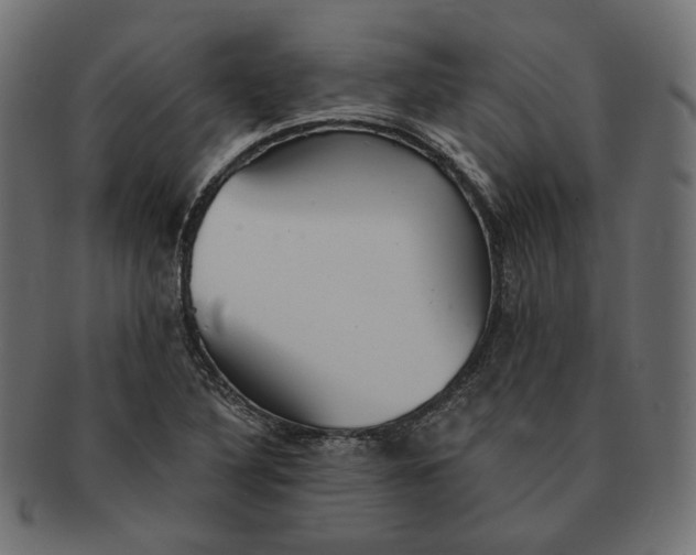 X0000091531316200709071031