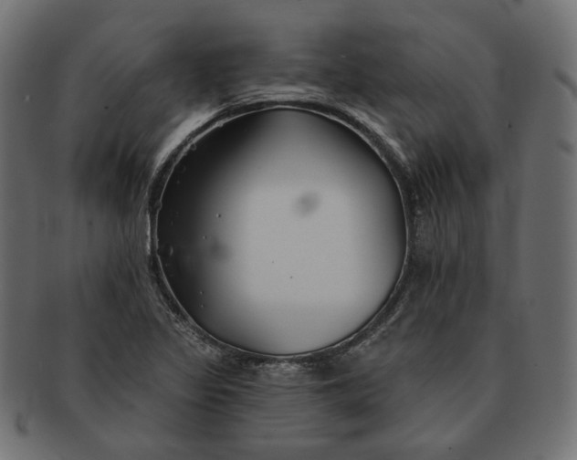 X0000091531317200709071031
