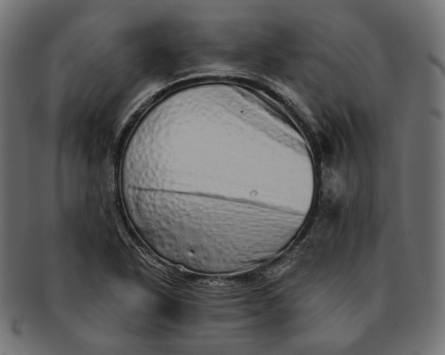 X0000091531318200709071031