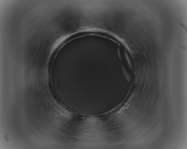 X0000091531319200709071031