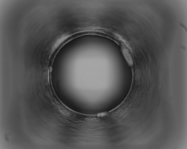 X0000091531320200709071031