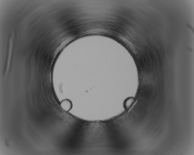 X0000091531322200709071031