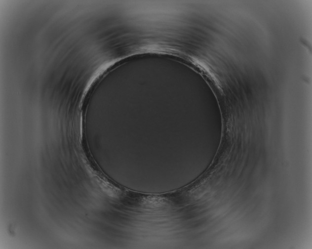 X0000091531323200709071031