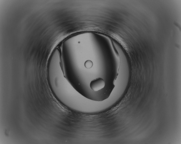 X0000091531324200709071031