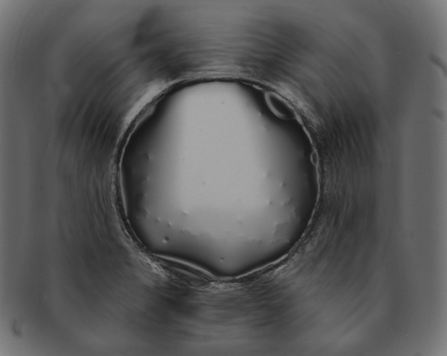 X0000091531325200709071031