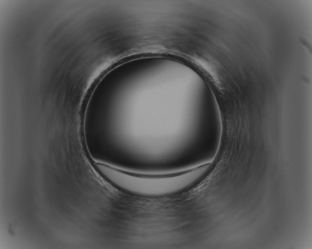 X0000091531326200709071031