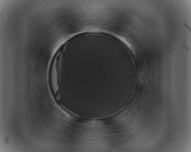 X0000091531327200709071031