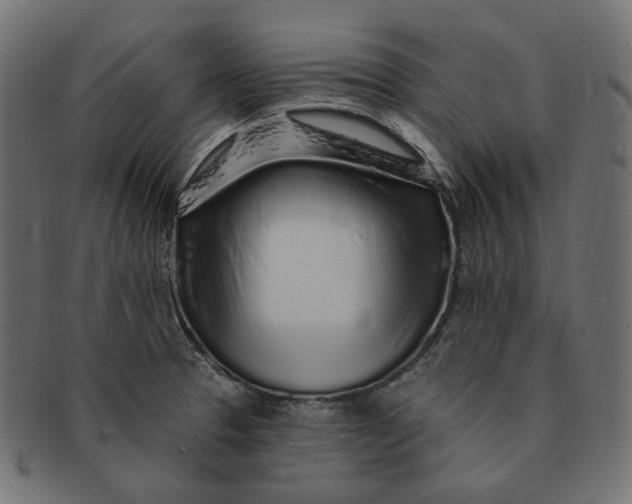 X0000091531329200709071031