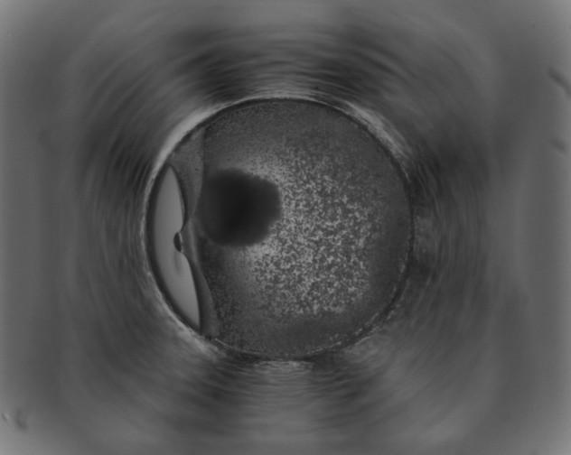 X0000091531331200709071031