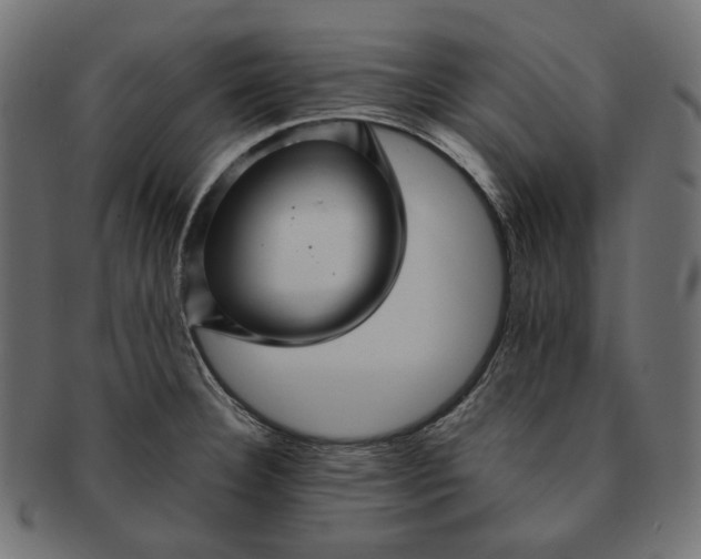 X0000091531332200709071031