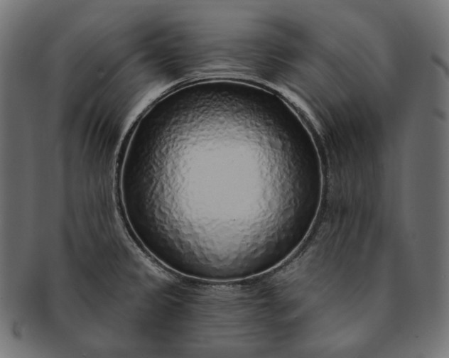 X0000091531333200709071032