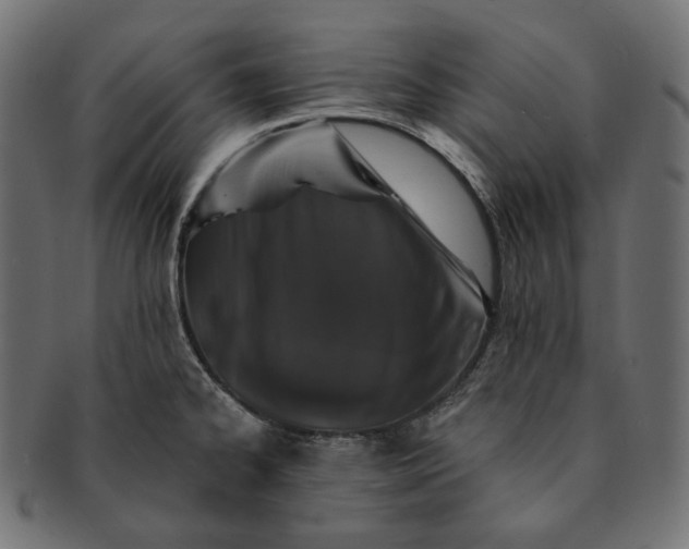 X0000091531334200709071032