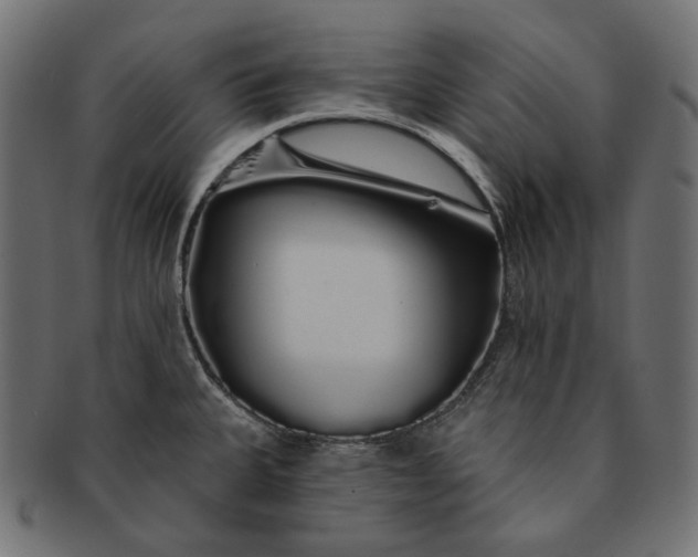 X0000091531335200709071032