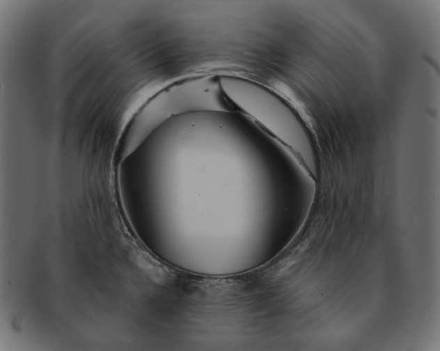 X0000091531336200709071032