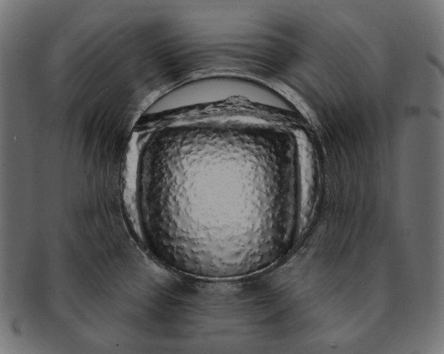 X0000091531337200709071032