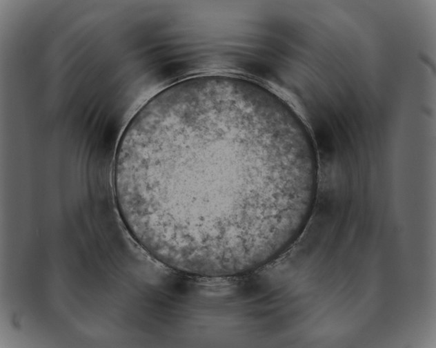 X0000091531338200709071032