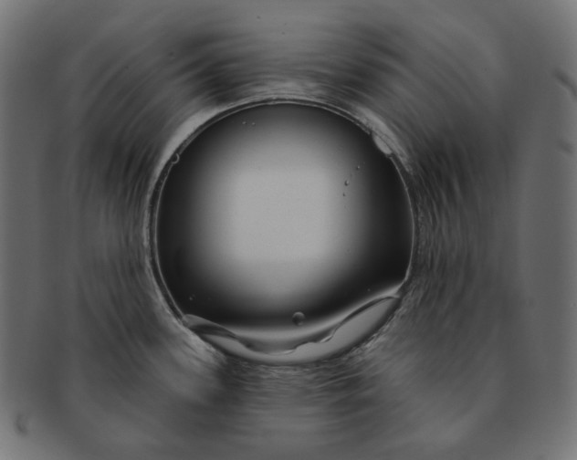 X0000091531339200709071032