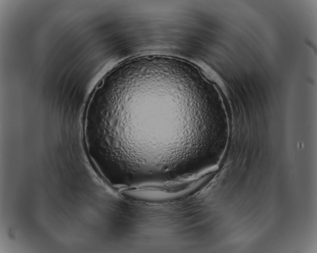 X0000091531341200709071032