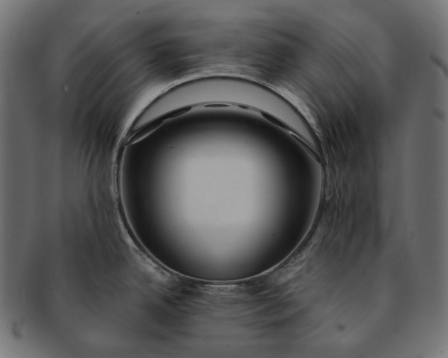X0000091531342200709071032