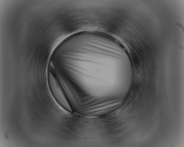 X0000091531343200709071032