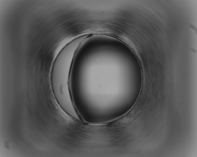 X0000091531344200709071032