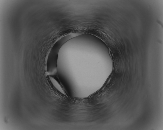 X0000091531345200709071031