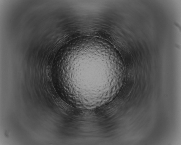 X0000091531346200709071031