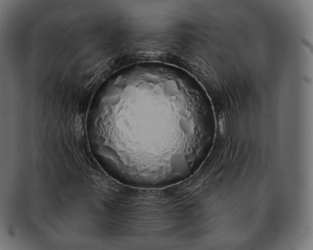 X0000091531347200709071031