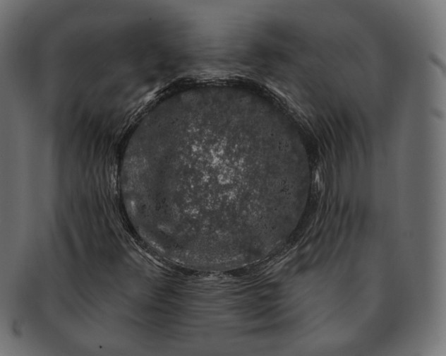 X0000091531348200709071031