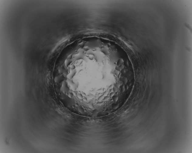 X0000091531351200709071031
