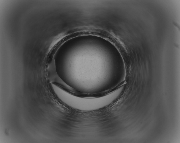 X0000091531352200709071031
