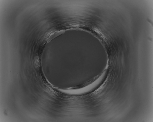 X0000091531353200709071031