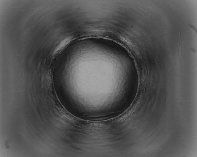 X0000091531354200709071031