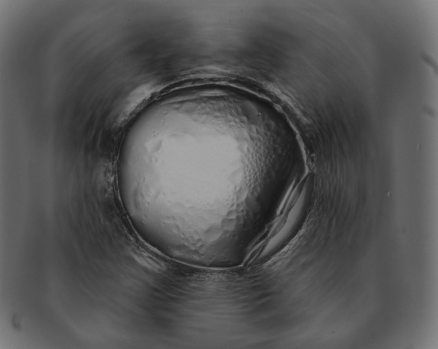 X0000091531355200709071031