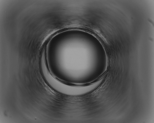 X0000091531356200709071031