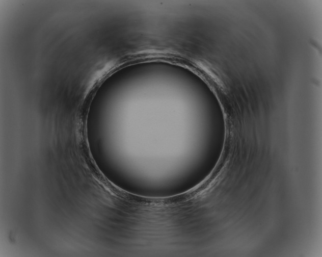 X0000091531357200709071031