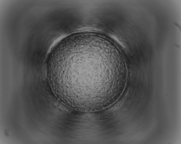 X0000091531358200709071031