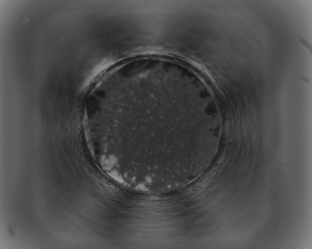 X0000091531359200709071031
