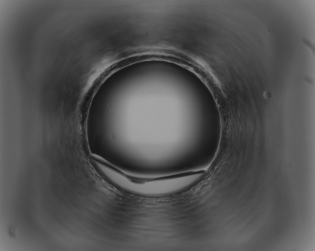 X0000091531360200709071031