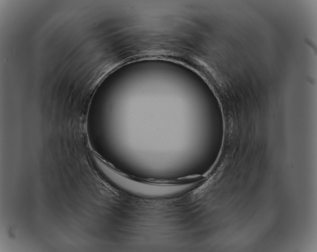 X0000091531361200709071031