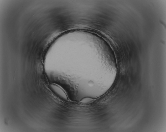 X0000091531363200709071031