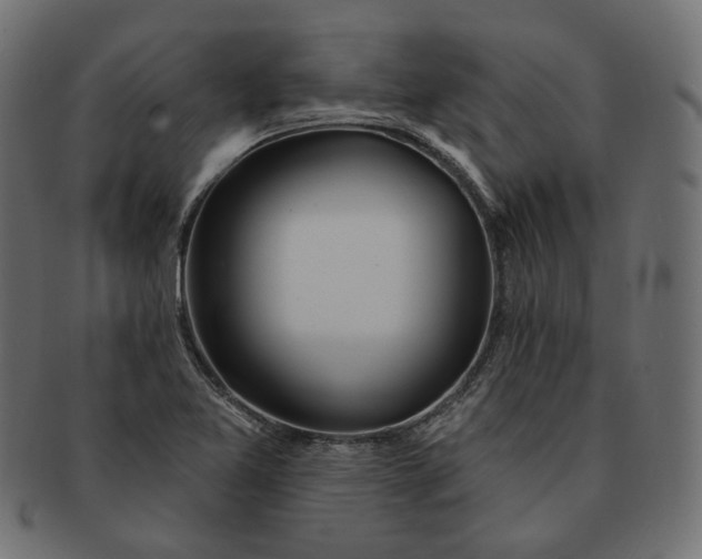 X0000091531365200709071031