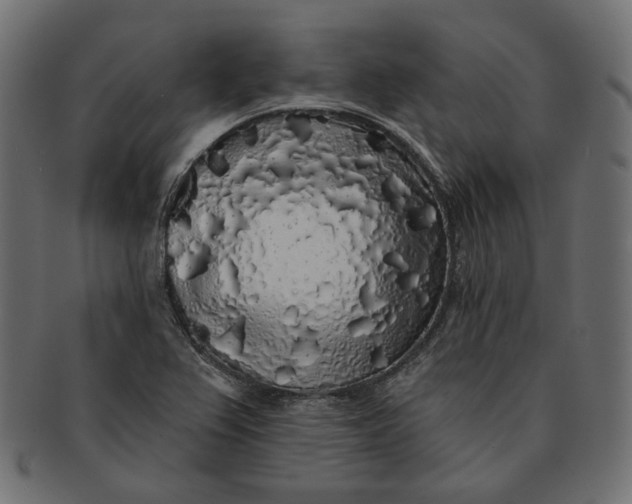 X0000091531367200709071031