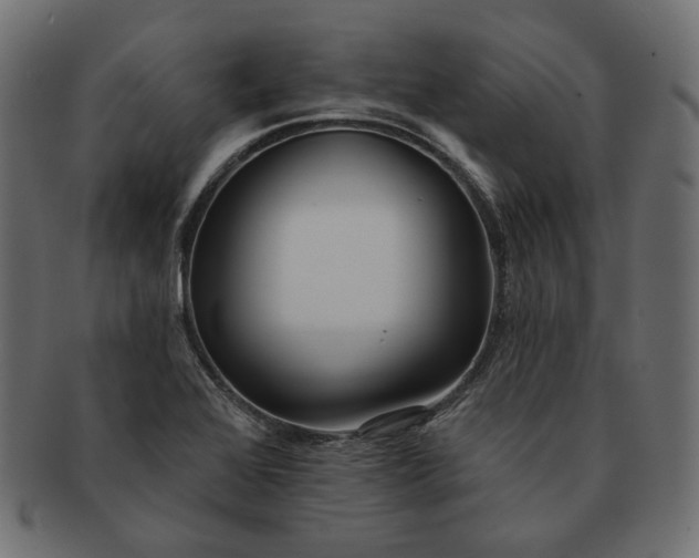 X0000091531368200709071031