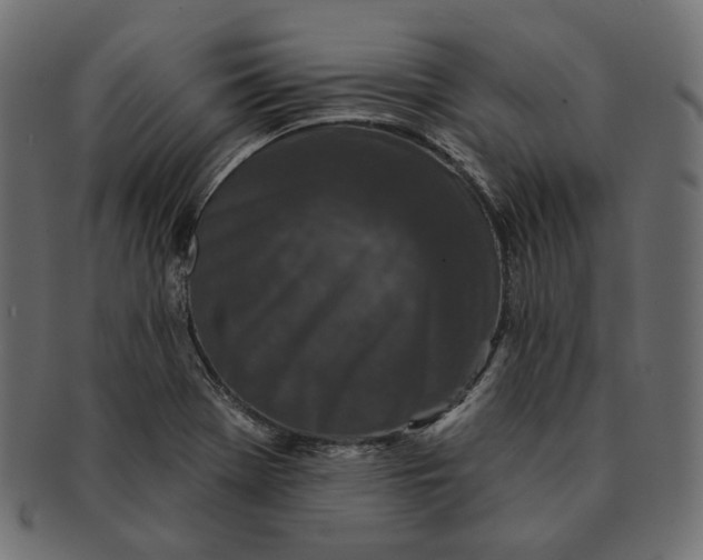 X0000091531369200709071031