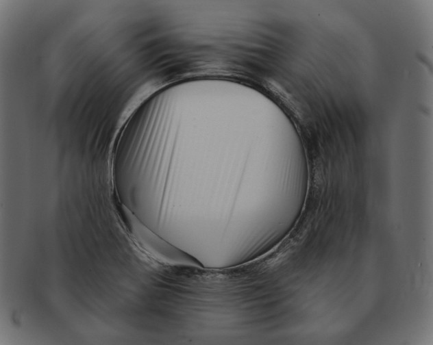 X0000091531370200709071031