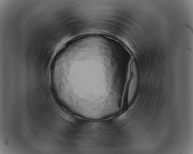X0000091531371200709071031