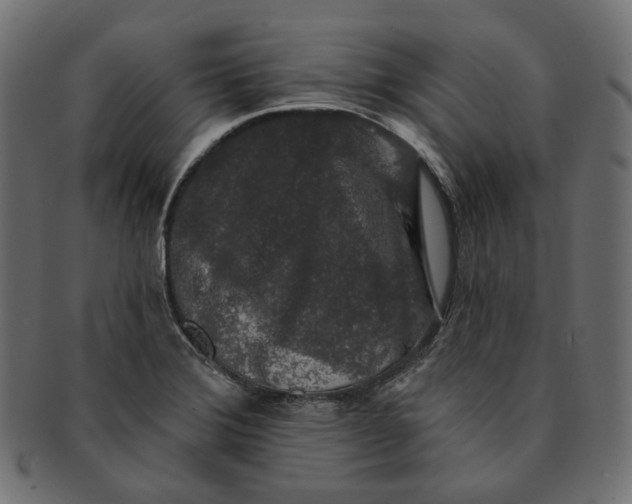 X0000091531372200709071031